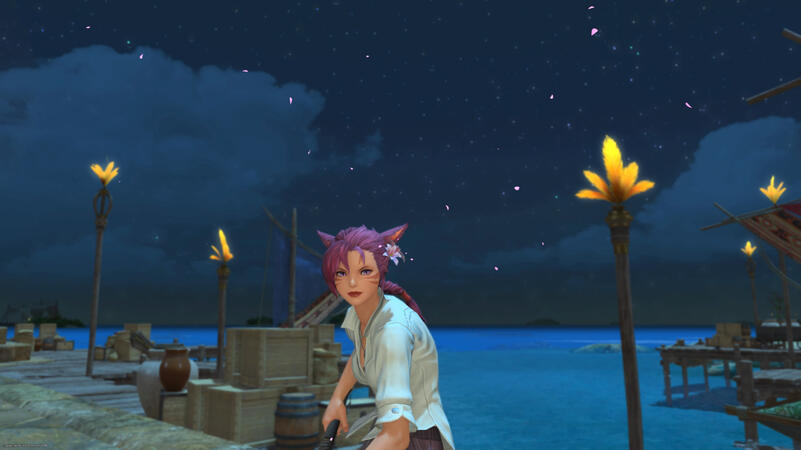 New look for a new expansion